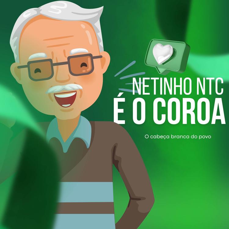 Netinho NTC's avatar image