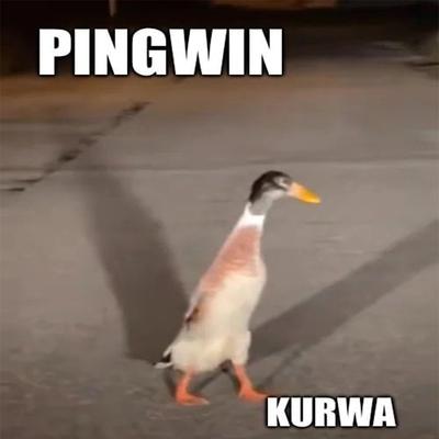 pingwin kurwa (slowed & reverb)'s cover
