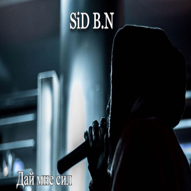 SiD B.N's avatar image