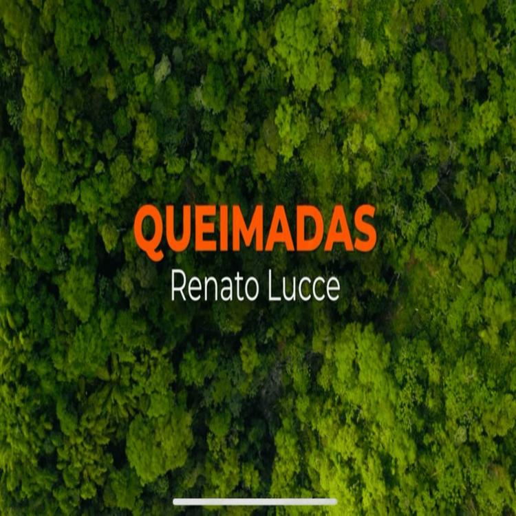 RENATO LUCCE's avatar image