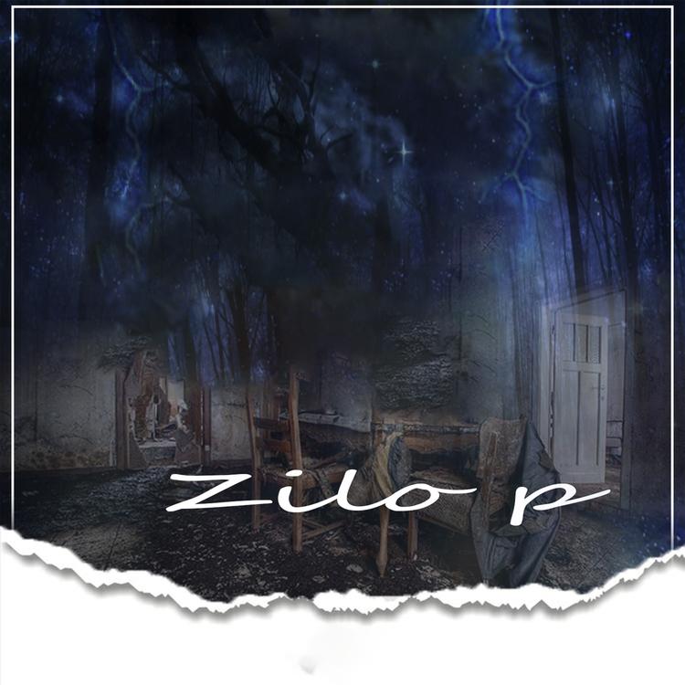 Zilo P's avatar image