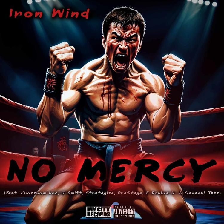 Iron Wind's avatar image