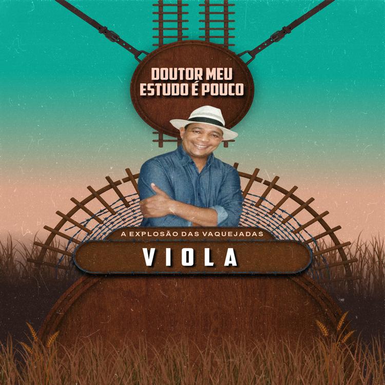 Viola A Explosão das Vaquejadas's avatar image