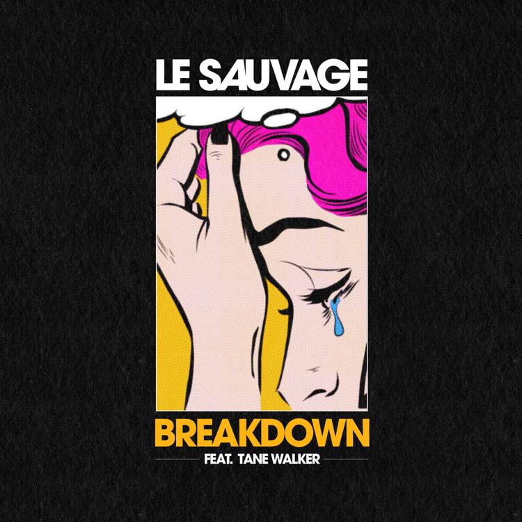 Le Sauvage's avatar image