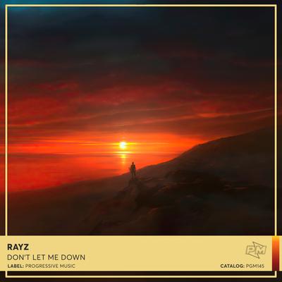 Don't Let Me Down By RayZ's cover