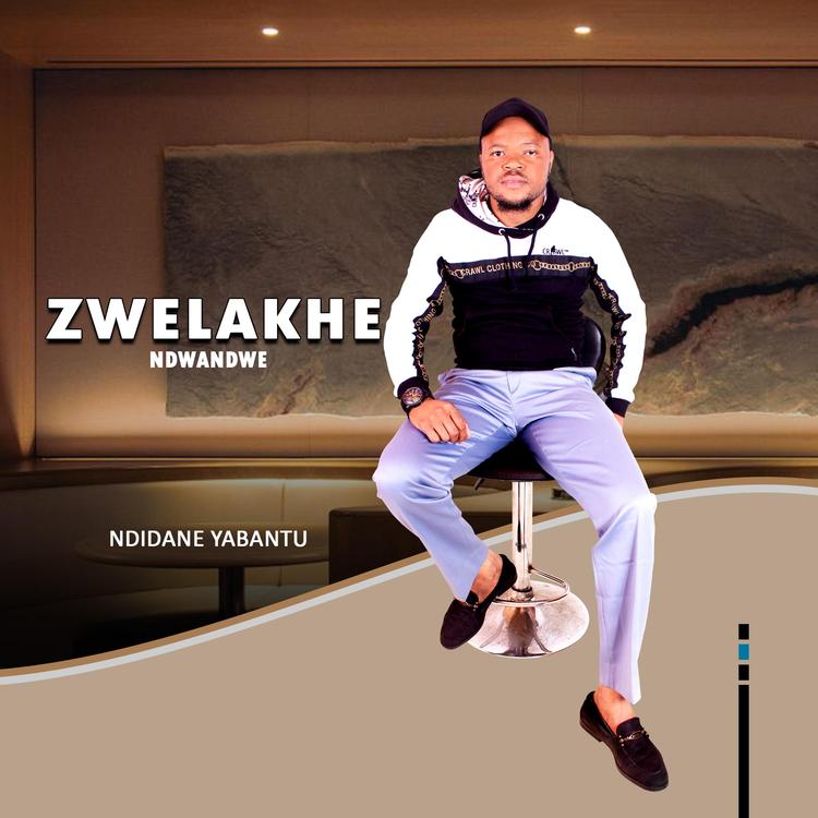 ZWELAKHE NDWANDWE's avatar image