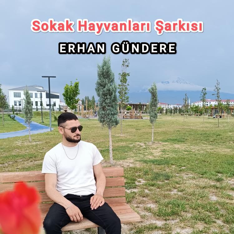 Erhan Gündere's avatar image