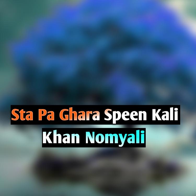 Khan Nomyali's avatar image