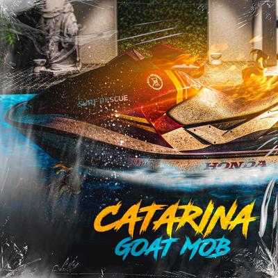 Catarina (feat. Vete da R,Tropa da W&S)'s cover