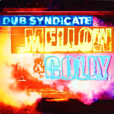 Dub Syndicate's cover