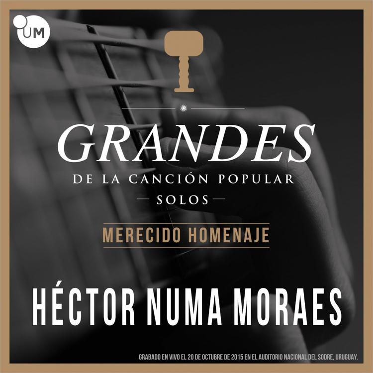 Héctor Numa Moraes's avatar image