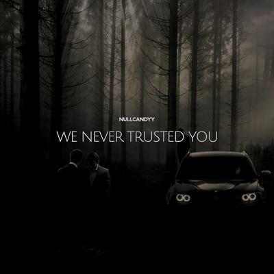 We never trusted you's cover