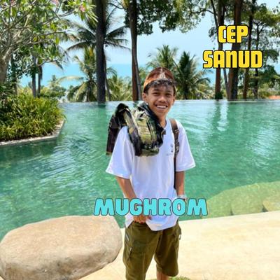 MUGHROM _ CEP SANUD's cover