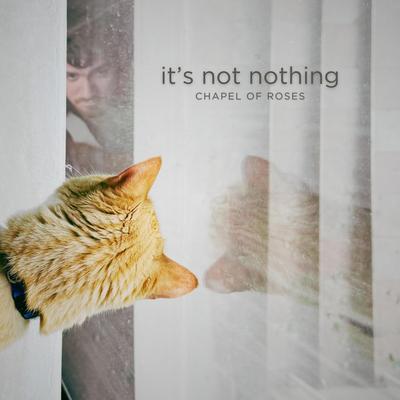 It's not Nothing's cover