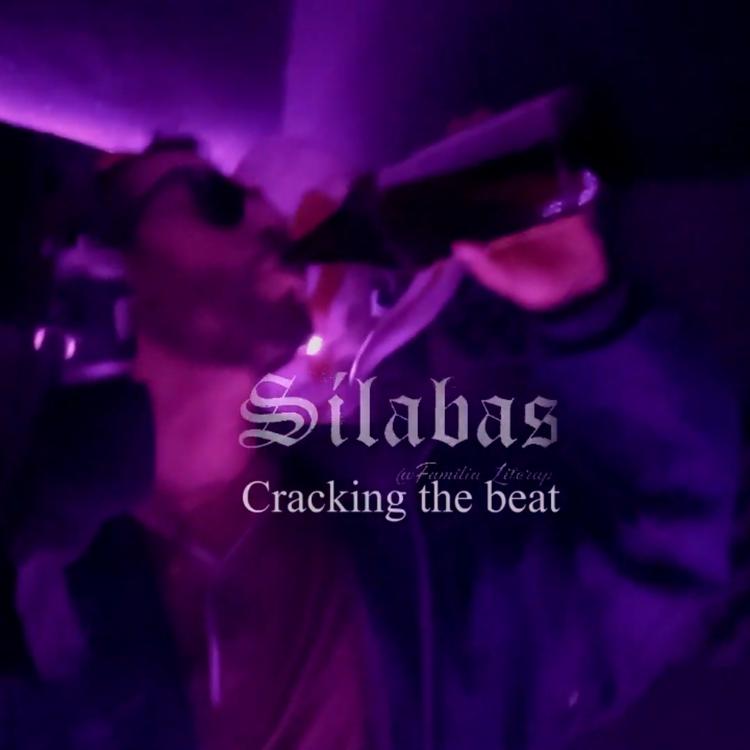 Silabas's avatar image