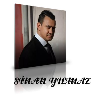 Akıllara Zararsın (Remix)'s cover