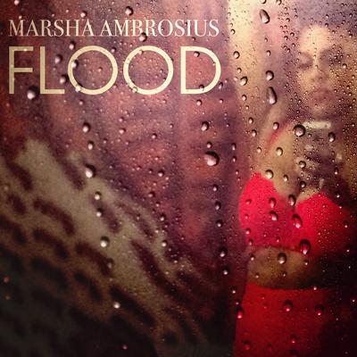 Flood's cover