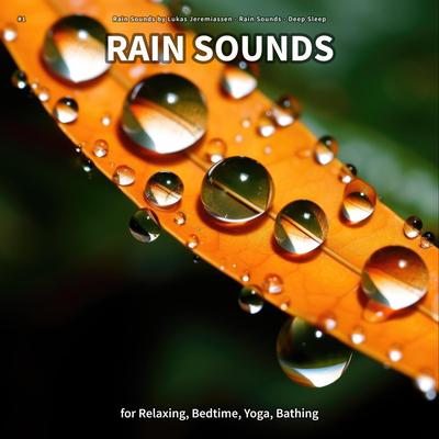 Rain for Adults's cover