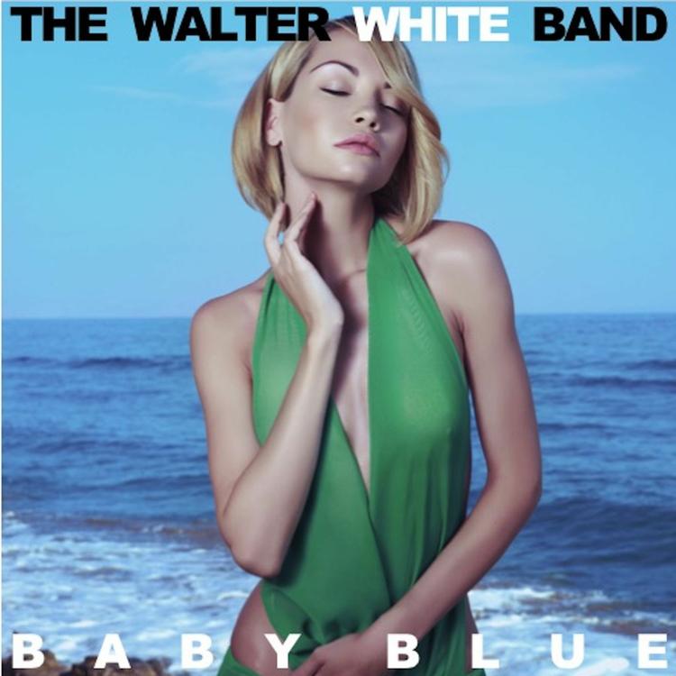 The Walter White Band's avatar image