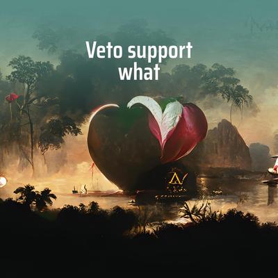 Veto Support What By Lyon gaza's cover