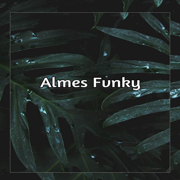 Almes Fvnky's avatar image