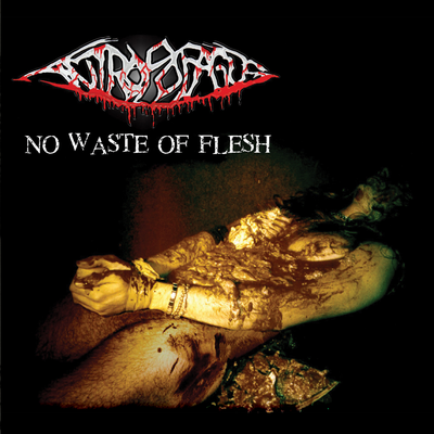 Necrophobic (Slayer cover) By Antropofagus's cover