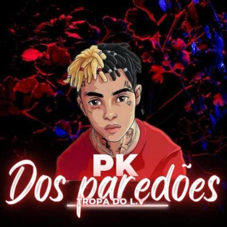 PK DOS PAREDÕES's avatar image