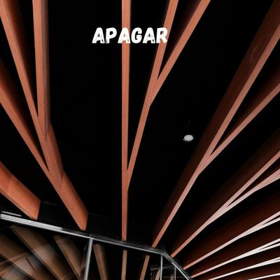 APAGAR's cover