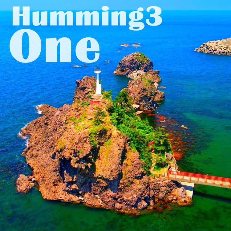 Humming3's avatar image