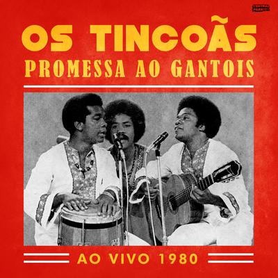 Os Tincoas's cover