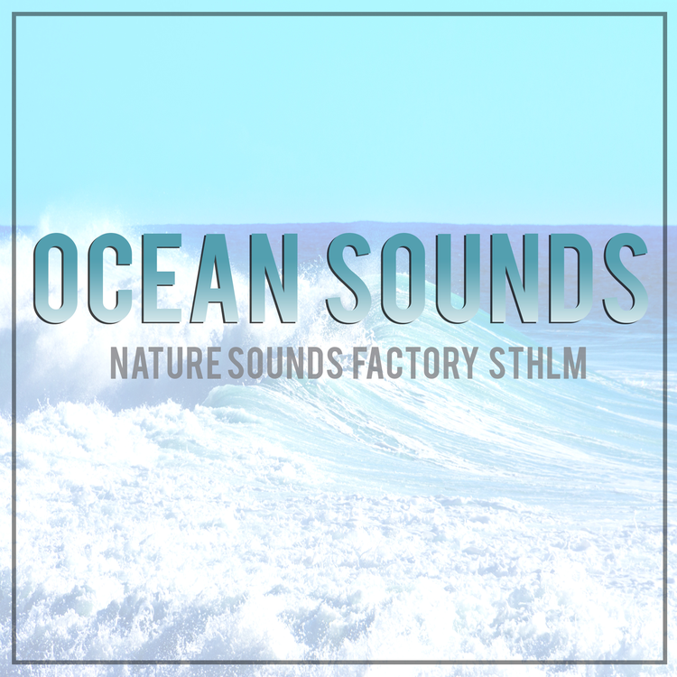 Nature Sounds Factory STHLM's avatar image