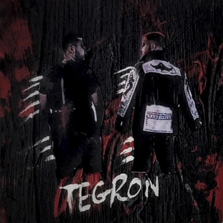 Tegron's avatar image