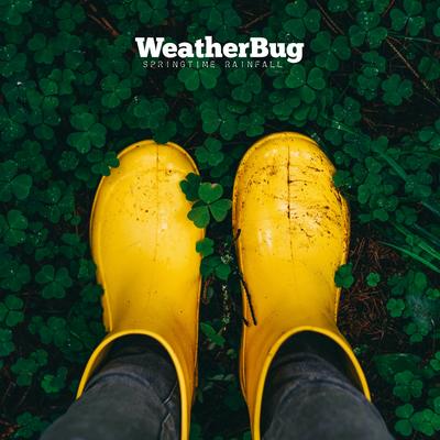 WeatherBug's cover