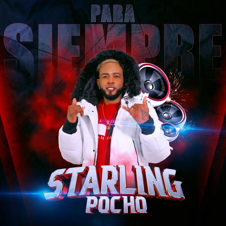 Starlig Pocho's avatar image