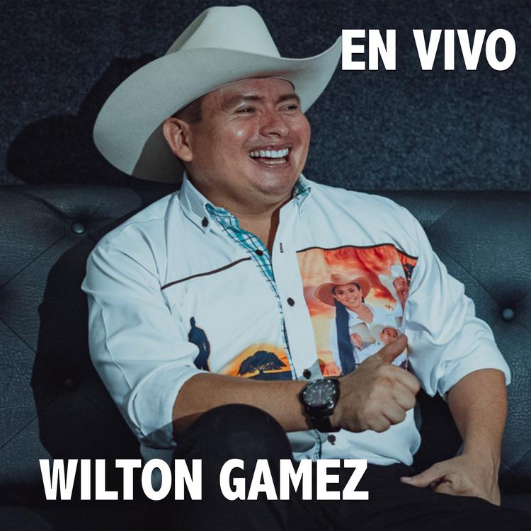 Wilton Gámez's avatar image