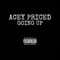 Acey Priced's avatar cover