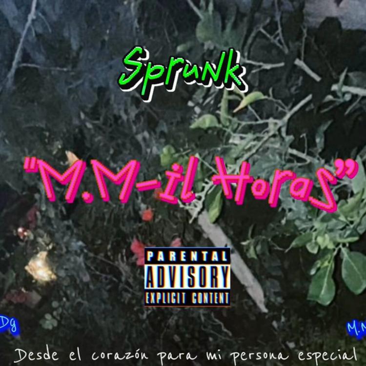 SPRUNK's avatar image