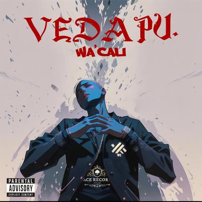 VEDAPU's cover