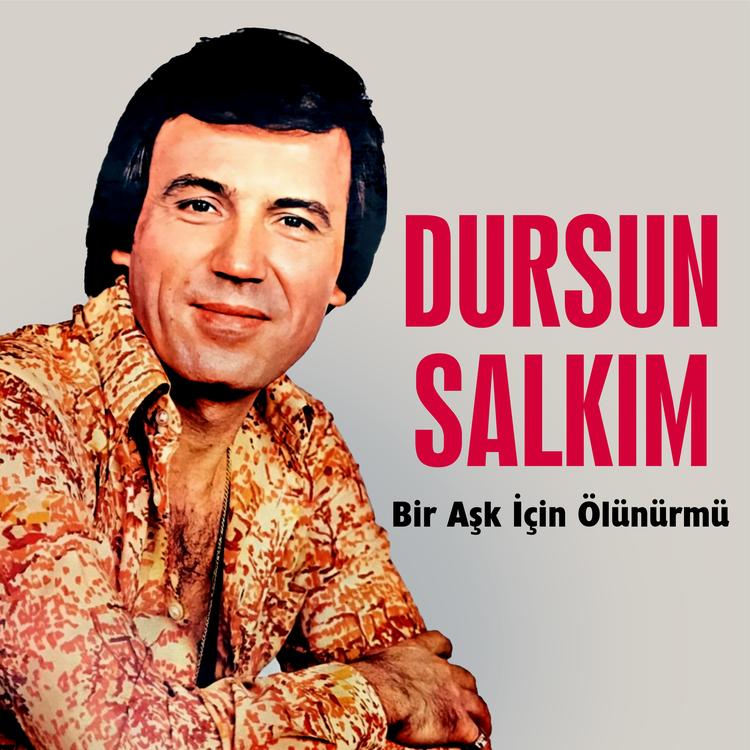 Dursun Salkım's avatar image