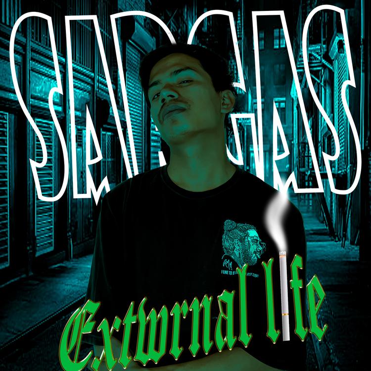 Sargas's avatar image