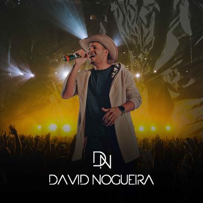 David Nogueira's cover