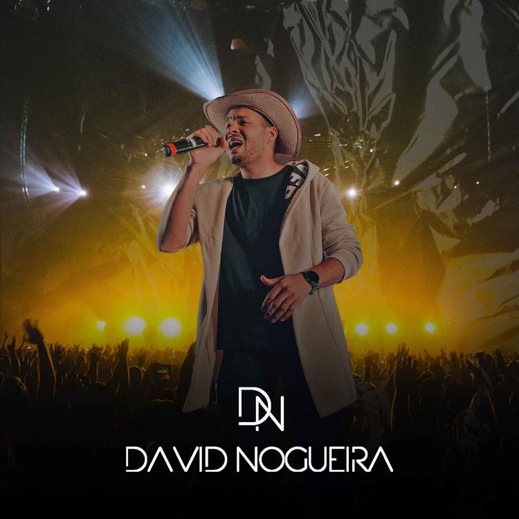 David Nogueira's avatar image