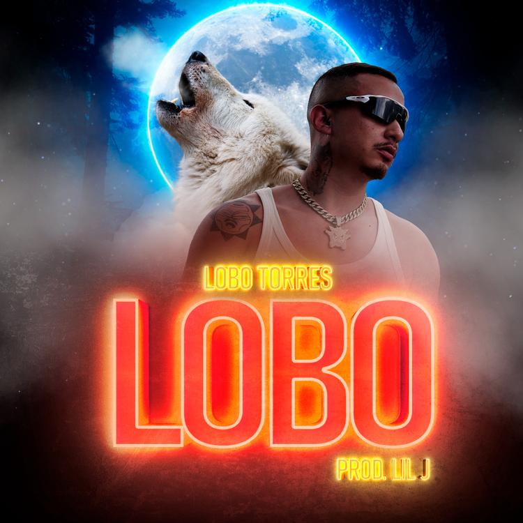 Lobo Torres's avatar image