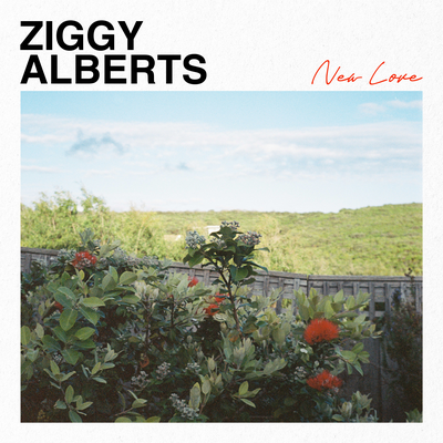 New Love By Ziggy Alberts's cover