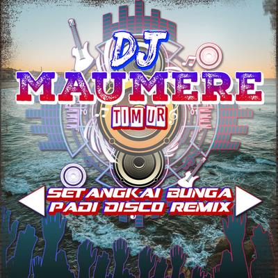 DJ Setangkai Bunga Padi Disco Remix's cover