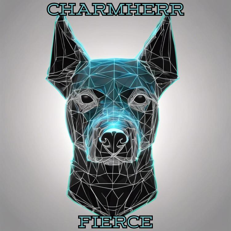Charmherr's avatar image