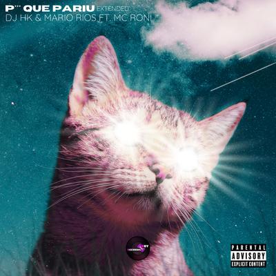 Puta Que Pariu (Extended Version) By DJ HK, Mario Rios, Mc Roni's cover