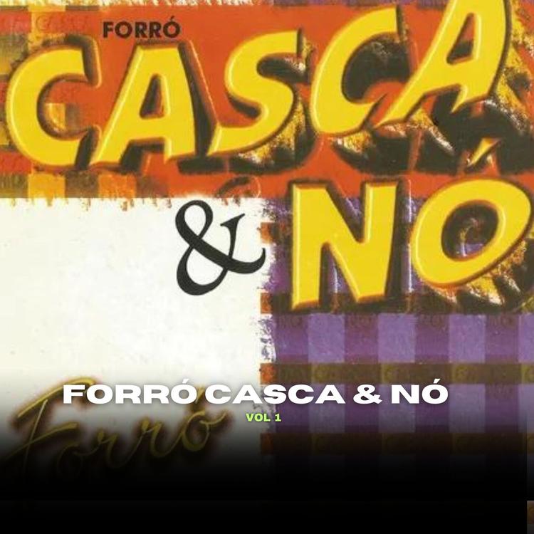 Forró Casca & Nó's avatar image