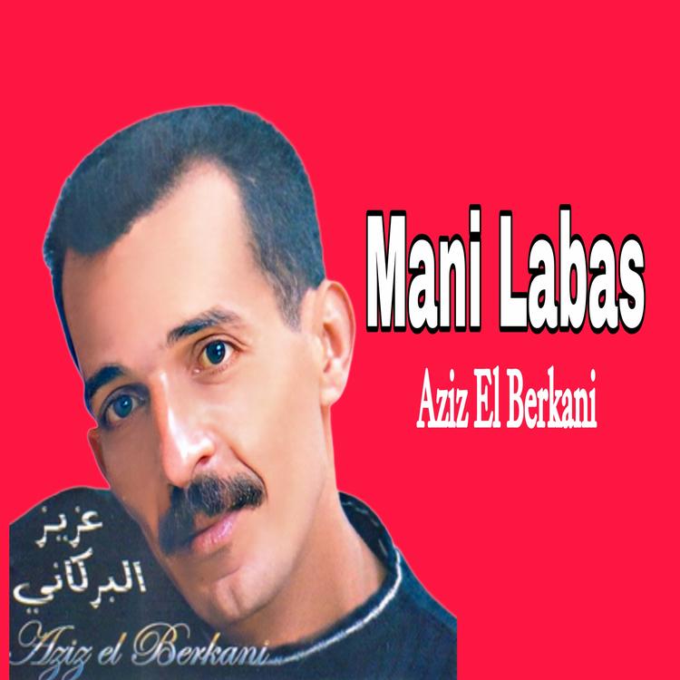 Aziz El Berkani's avatar image