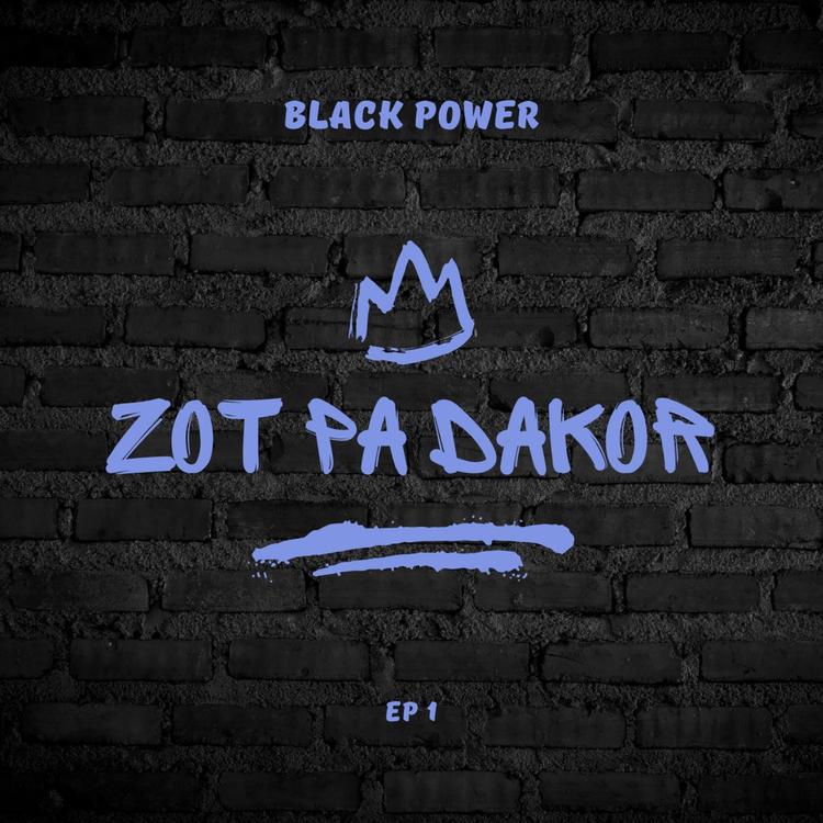 BLACK POWER's avatar image